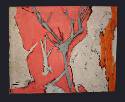 Pink Coral  - Oil Paintings - Art - Ethel Sussman Art Gallery